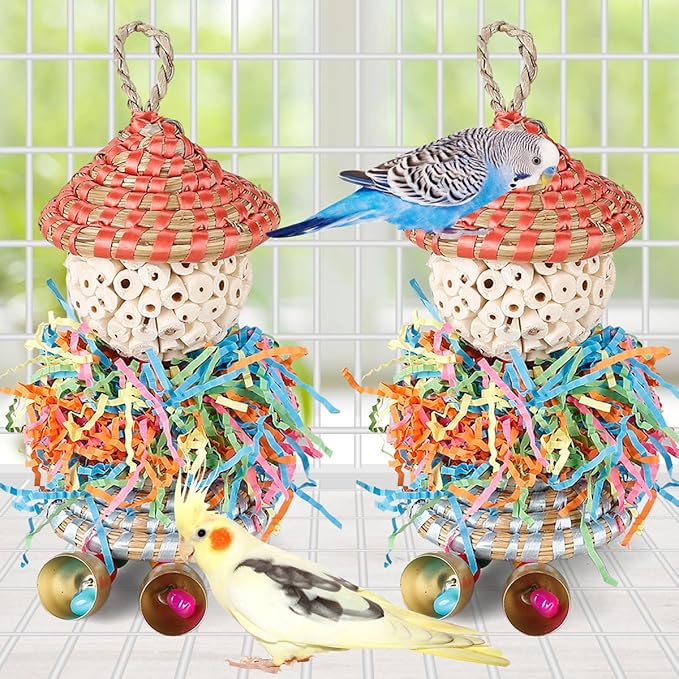 Conure Toys, Bird Toys Parrot Foraging Shredder Hanging Toys Sola Balls with Bell for Small Parrots Parakeets Cockatiel Conures Love Birds Budgie Cage Toy (Hat Girl Big)