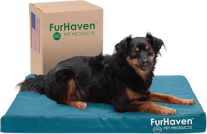 Furhaven Water-Resistant Memory Foam Dog Bed for Medium/Small Dogs w/ Removable Washable Cover, For Dogs Up to 35 lbs - Indoor/Outdoor Logo Print Oxford Polycanvas Mattress - Deep Lagoon, Medium