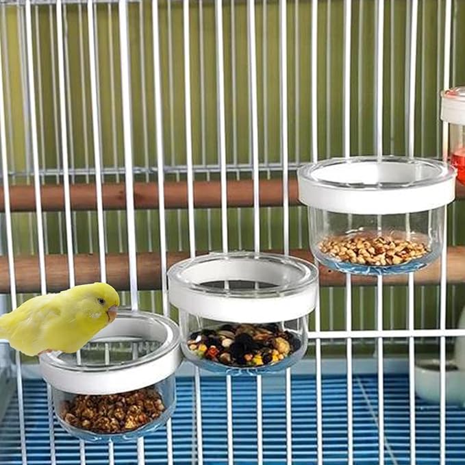 6 Pcs Small Bird Plastic Food Cup, Parrot Feeders Water Cage Bowls Convenient Hanging Food Feeder Box for Bird Parrot Cockatiel Small Animal