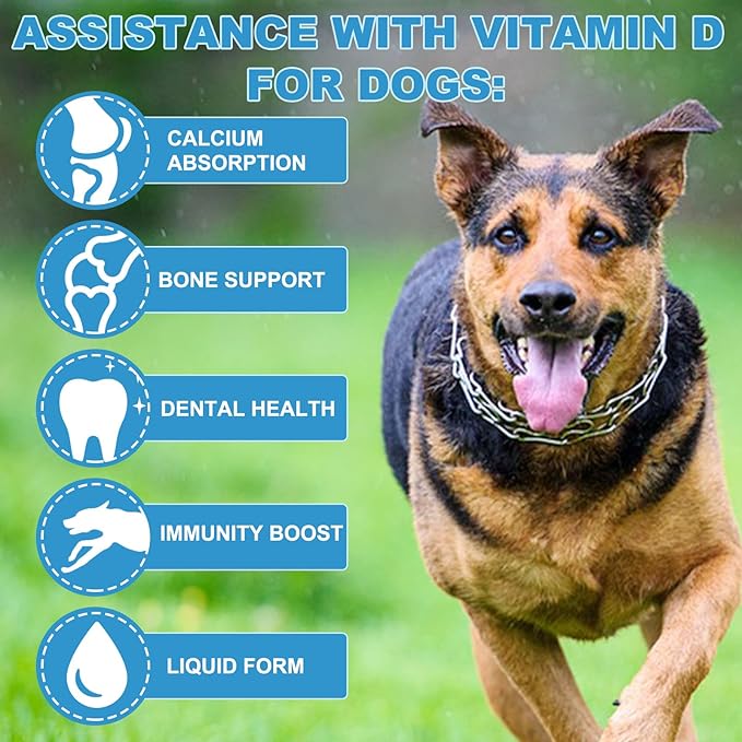 Vitamin D for Dogs, Liquid D for Dogs, Dog Vitamins D Drops Promote Calcium Absorption, Supports Hip & Joint Health and Dog Dental Health - Pet Supplements Liquid Vitamins D, Bacon Flavour - 2 Fl Oz