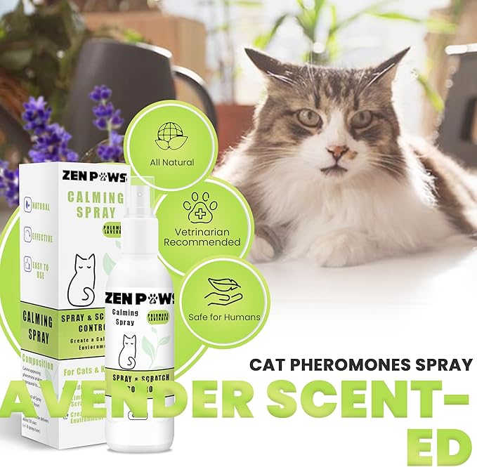 Diffuser Cat Relaxant Refill Plus Additional Bottle Calming Spray - Refills Compatible with All Major Brand diffusers. Comfort Zone, ThunderEase, Relaxivet and Others