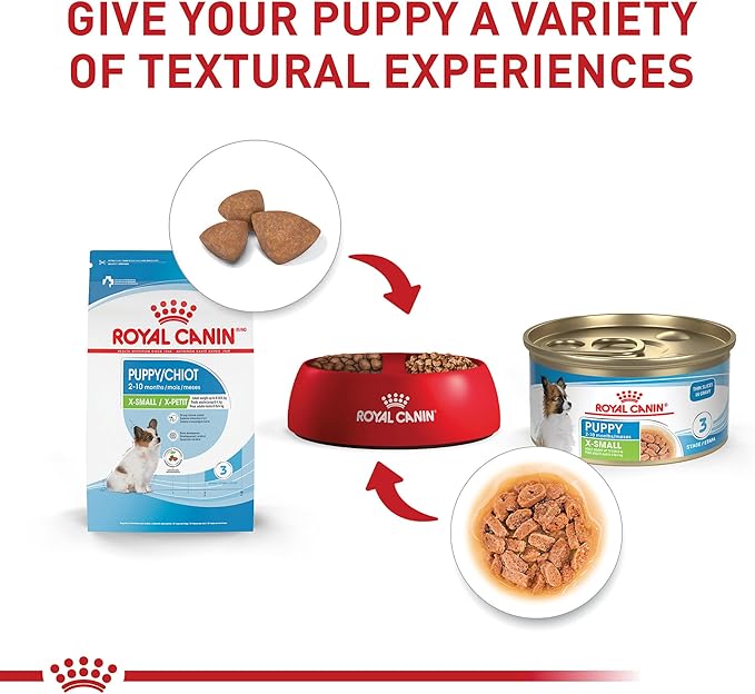 Royal Canin Size Health Nutrition X-Small Puppy Thin Slices in Gravy Wet Dog Food, 3 oz can (24-count)