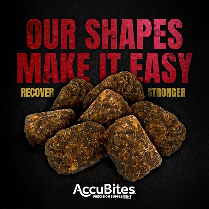 Manna Pro AccuBites Replenish Equine Supplement – Hydration & Immune Support Supplement for Horses – Contains Vitamin E & Turmeric – Turmeric & Molasses Flavored – 1.6 lbs