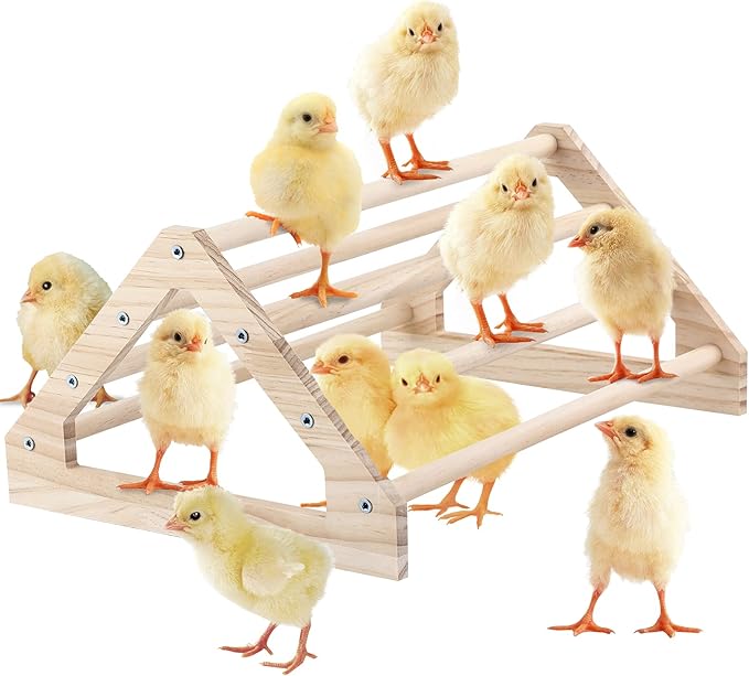 Chicken Perch Strong Pine Wooden Chick Jungle Gym Roosting Bar, Chick Perch Toys for Coop and Brooder for Large Bird Baby Chicks Parrot Hens (Large)