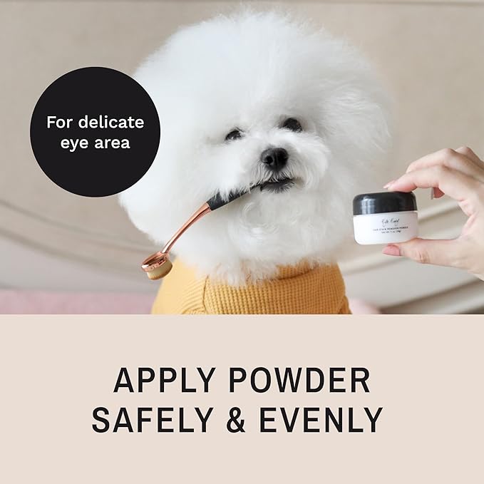 Eye Envy ProPowder Applicator Brush for Dogs and Cats | Use to Safely and Evenly Apply Tear Stain Powder | Large | Washable Superfine Fiber Hair | Long Tapered Bristles | Ergonomic Handle