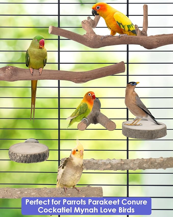 Bissap Bird Perch Stand 7PCS, Natural Grape Wood Pole Standing Parrot Cage Branch Paw Grinding Fork Parakeet Platform Hammock for Conures Budgies Finches Cockatiels Small Birds Exercise Training