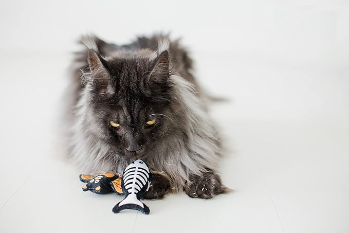 Pearhead Halloween Cat Toys, Set of 2, Holiday Pet Toys, Crinkle and Catnip Toys, Cat Teaser Toys, Must Have Pet Accessories for Pet Owners