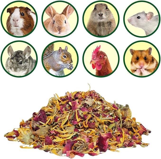 Flower Fusion Treat (8 oz.) - Healthy Natural Dried Flower Herbivore Treat - Chinchillas, Guinea Pigs, Rabbits, Prairie Dogs, Degus, Hamsters, Rats, Squirrels, Sugar Gliders & Other Small Pets