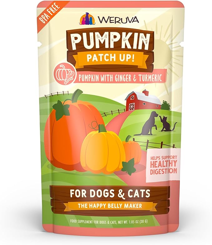 Weruva Pumpkin Patch Up! Pumpkin with Ginger & Turmeric for Dogs & Cats, 1.05oz Pouch (Pack of 12)