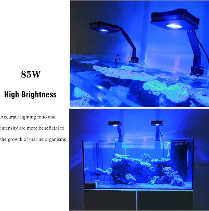 Lominie LED Aquarium Light, 80W Full Spectrum Coral Reef Light Saltwater LED for Marine Fish Tank with Remote Control 4 Channels Dimmable with Stand(Pixie 80 Saltwater)