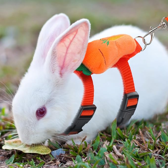 4 Sets Adjustable Bunny Rabbit Harness and Leash Set Small Pet Cute Vest Harness Leash with Decoration for Bunny Ferret Small Pets(Fruit)