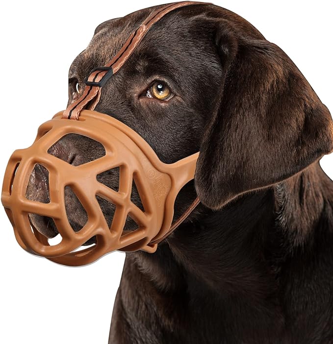 BARKLESS Dog Muzzle, Basket Muzzle for Biting, Chewing and Scavenging, Humane Cage Mouth Cover, Perfect for Grooming and Training Medium, Large Aggressive Reactive Dogs