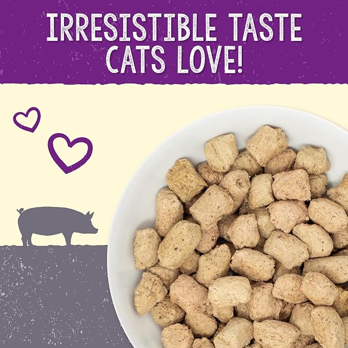 Stella & Chewy's Freeze-Dried Raw Cat Dinner Morsels – Grain Free, Protein Rich Cat & Kitten Food – Plate Lickin' Pork Recipe – 8 oz Bag