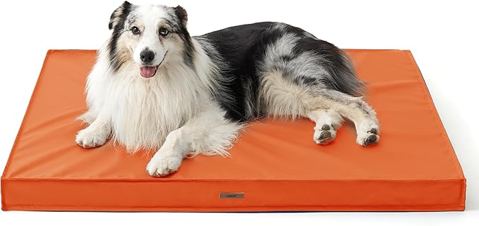 Lesure Outdoor Waterproof Dog Beds for Large Dogs - Dog Bed Washable with Oxford Fabric Surface, Large Orthopedic Foam Pet Bed with Removable and Durable Cover, Machine Washable