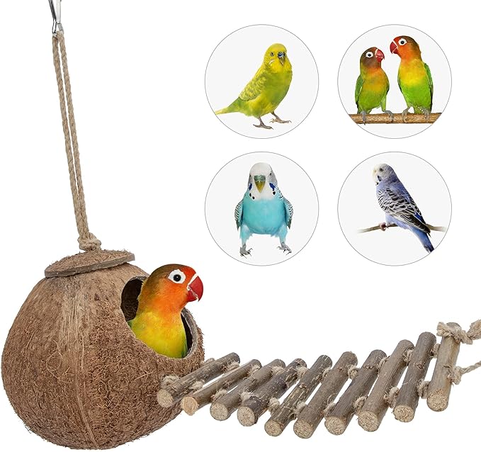Niteangel Natural Coconut Hideaway with Ladder, Bird and Small Animal Toy (House with Ladder, Natural Surface)