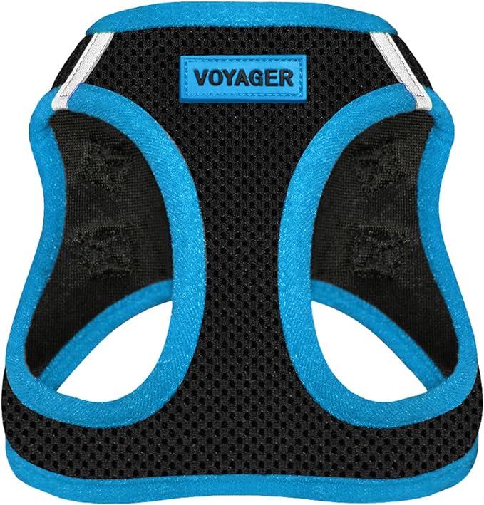 Voyager Step-in Air Dog Harness - All Weather Mesh Step in Vest Harness for Small and Medium Dogs by Best Pet Supplies - Blue Trim, XS