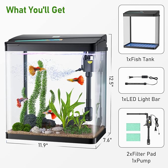 Fish Tank, 3 Gallon Glass Aquarium, 3 in 1 Fish Tank with Filter and Light, Desktop Small Fish Tank for Betta Fish, Shrimp, Goldfish (Black, 3Gallon)