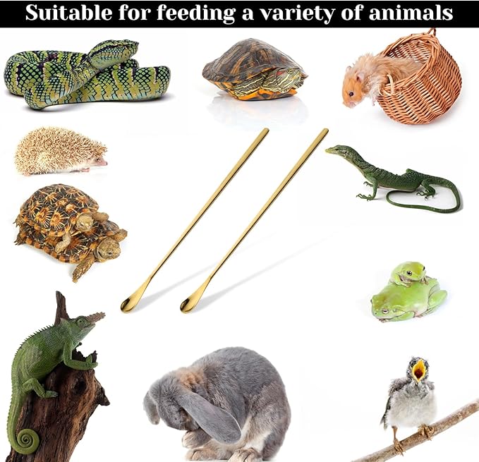 2Pcs Crested Gecko Food Spoons, 8.9" Long Handle Gecko Feeding Spoon, Stainless Steel Powder Fruit Mixing Stirring Food Feeding Spoons for Gargoyle Bearded Dragon