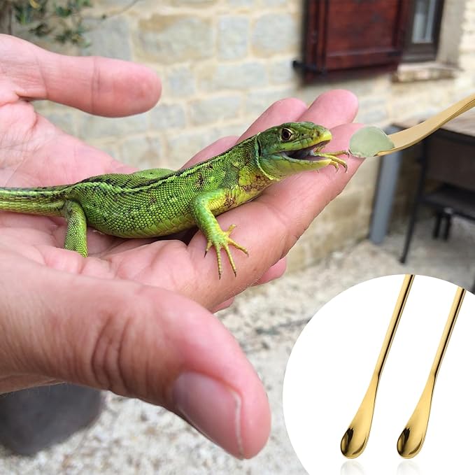 2Pcs Crested Gecko Food Spoons, 8.9" Long Handle Gecko Feeding Spoon, Stainless Steel Powder Fruit Mixing Stirring Food Feeding Spoons for Gargoyle Bearded Dragon