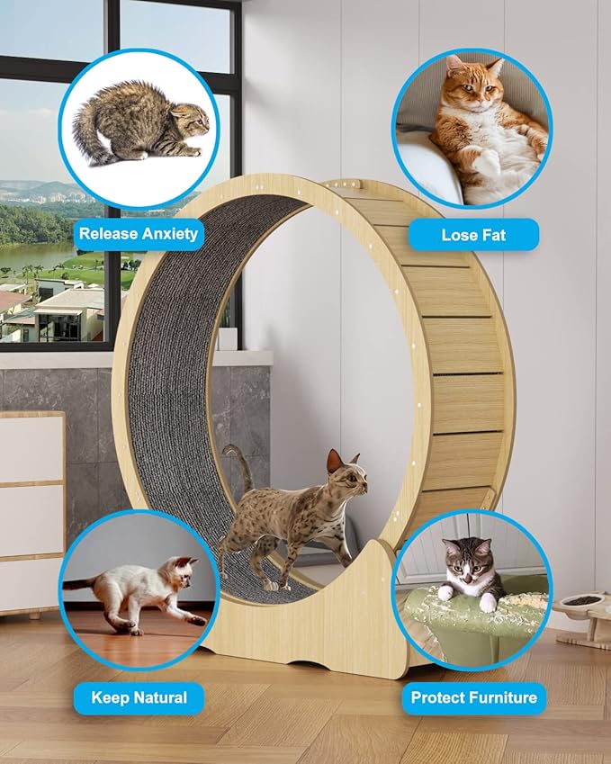 Cat Wheels for Indoor Cats. Extra Large Diameter Cat Treadmill. Made of Natural Solid Wood. Inside Diameter 40in/100cm. Including Installation Tools and Cat Teaser. (Wood)