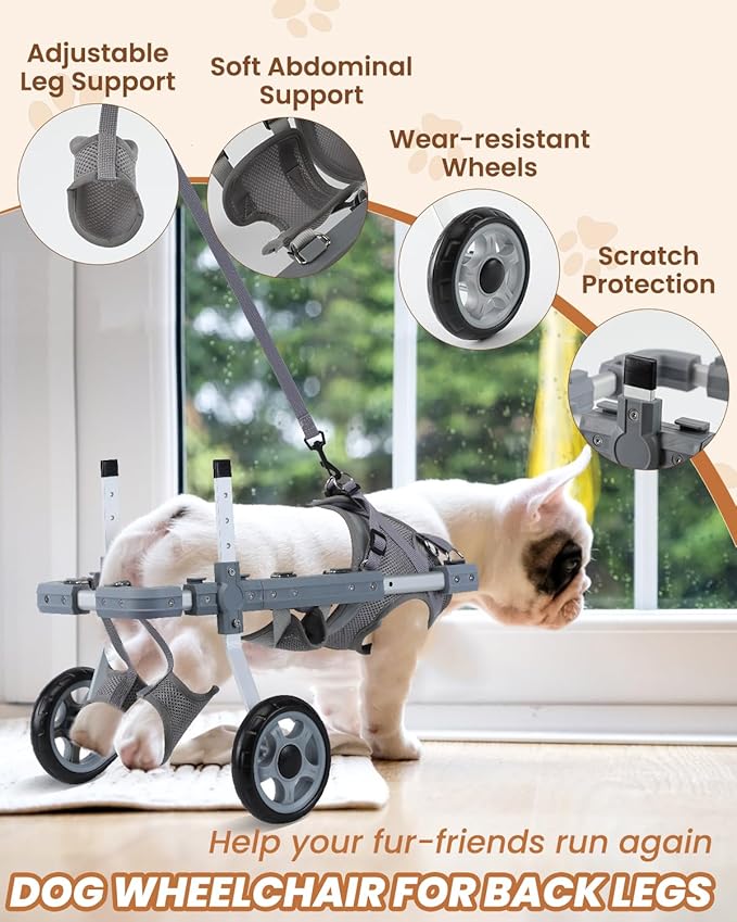 EMUST Small Dog Wheelchair for Back Legs, Wheelchairs for Dogs with Reflective Stripe, Lightweight Doggy Wheelchair, Cat Wheel Chair for Indoor Cats, Grey, XS