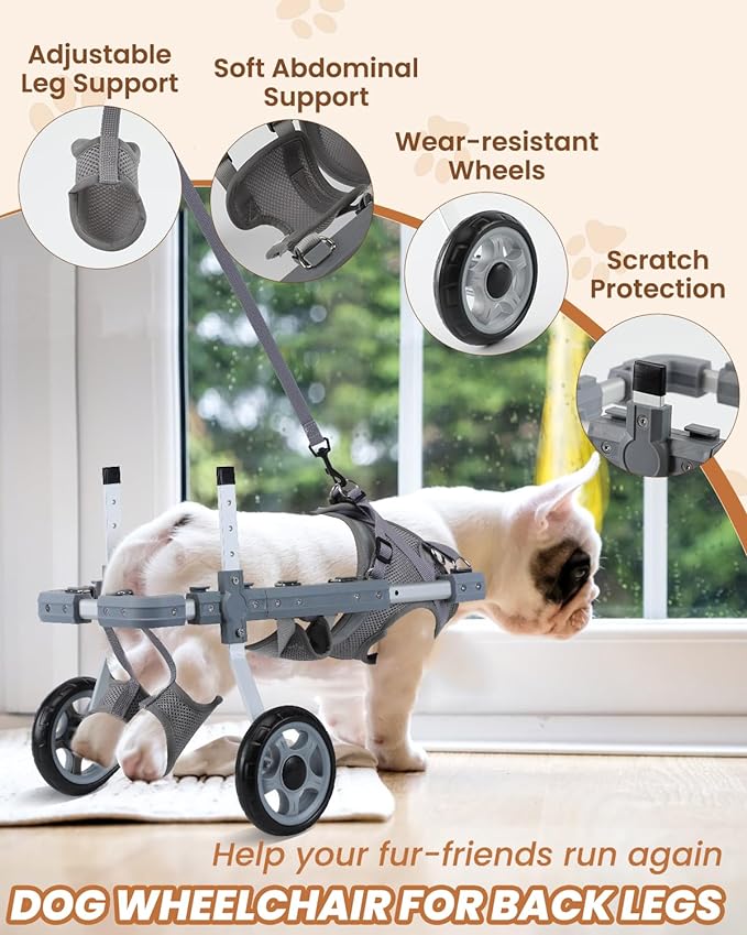 Wheelchairs for Dogs, Doggie Wheelchairs with Disabled Hind Legs Walking, Wheelchair for Dogs Back Legs Medium/Large, Lightweight Pet Wheelchair, Grey, M