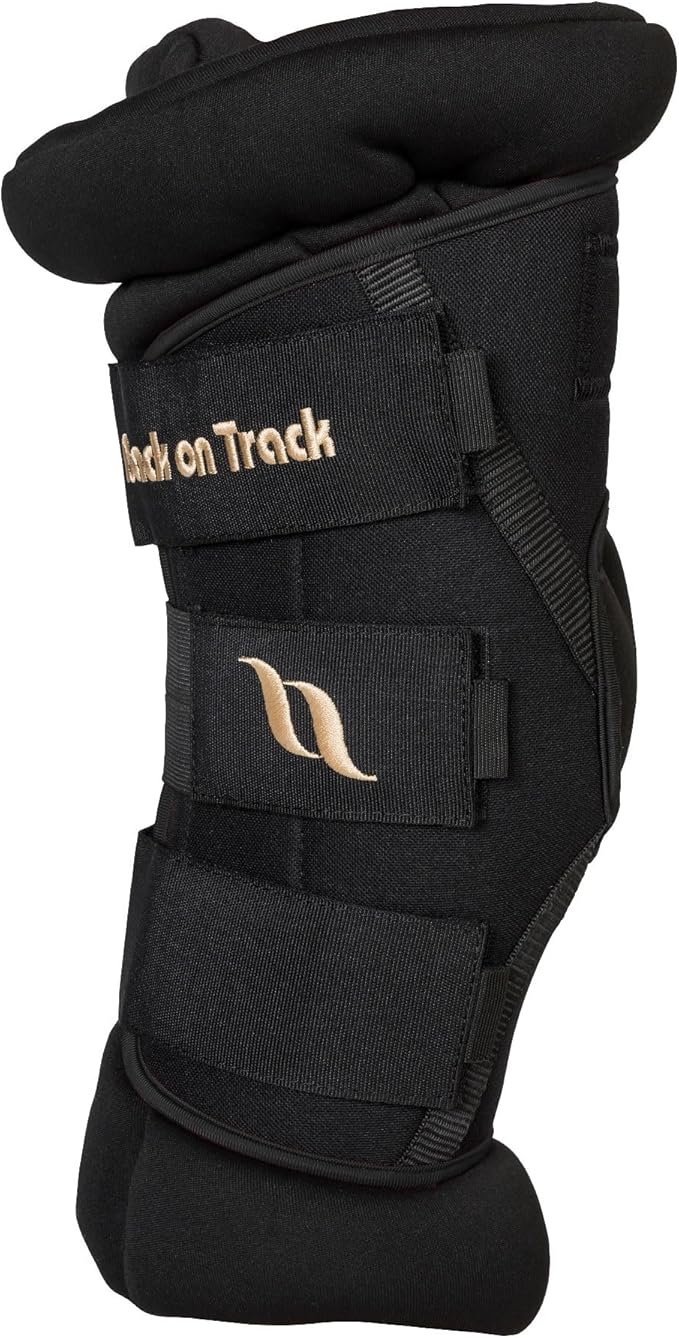 BACK ON TRACK Royal Padded Hock Boots Deluxe with Holes