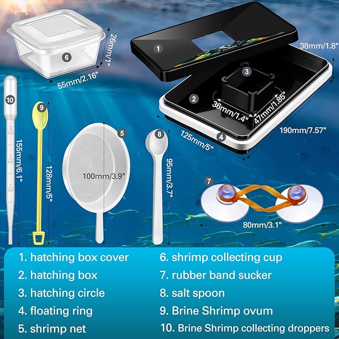 LEIFIDE Brine Shrimp Hatchery Incubator Kit Brine Shrimp Hatchery Dish, Efficient and Easy Brine Shrimp Hatchery Collect with Brine Shrimp Net, Measuring Cup, Brine Shrimp Eggs Spoon, Shrimp Dropper