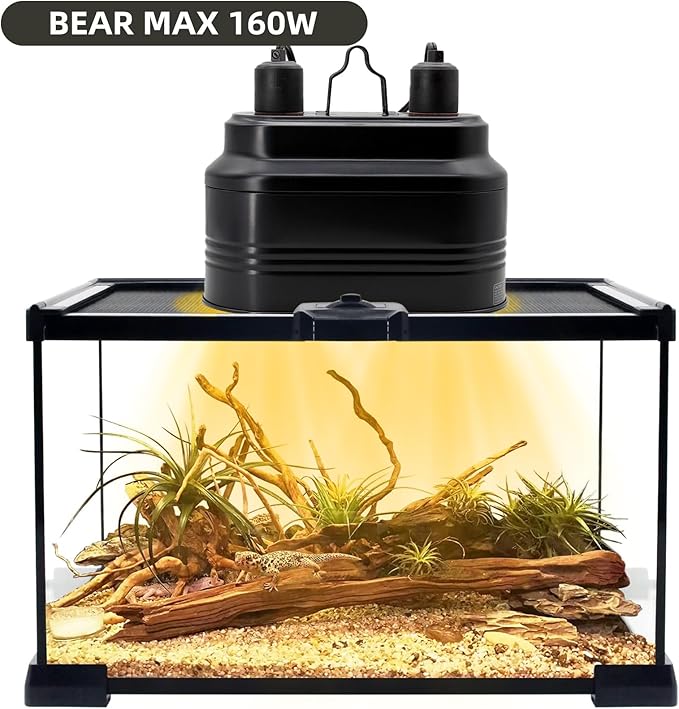 Reptile Dual Light Fixture, Reptile Heat Lamp Fixture with Separate Switches Fit for UVB Bulb Basking Heat Bulb for Reptile Glass Terrariums