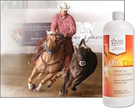 UltraCruz Veterinary Liniment Wash for Horses, 32 oz Refill