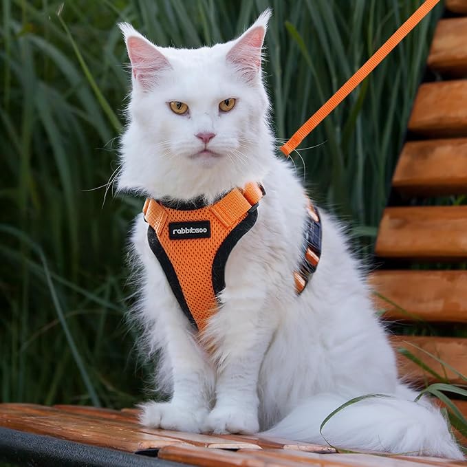 rabbitgoo Cat Harness and Leash for Walking, Escape Proof Soft Adjustable Vest Harnesses for Cats, Easy Control Breathable Reflective Strips Jacket, Orange, M