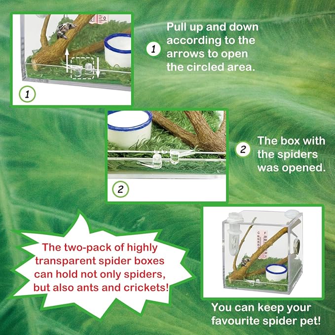 2 Pack Jumping Spider Enclosure,Tarantula Enclosure with Tongs and Droppers,Praying Mantis Eggs to Hatch Box for Small Animals Such As Tarantula,Spiders,Snails,Crickets,Praying Mantis and Ants
