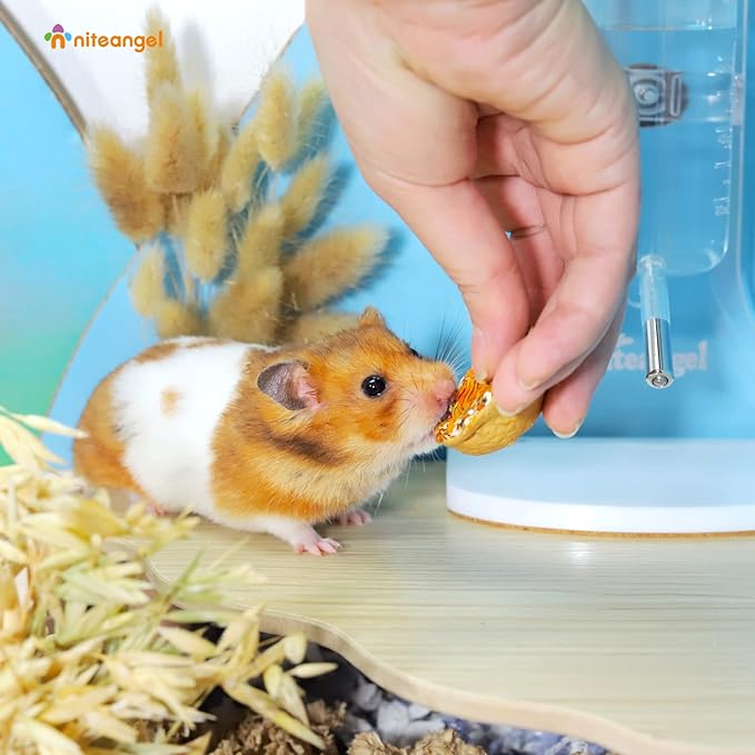 Niteangel Hamster Snack & Treats Toy - Small Animal Natural Treat Mix for Dwarf Syrian Robo Hamsters Gerbils Mice Lemmings Degus or other Small-sized Pets (Walnut-Shell Boat)