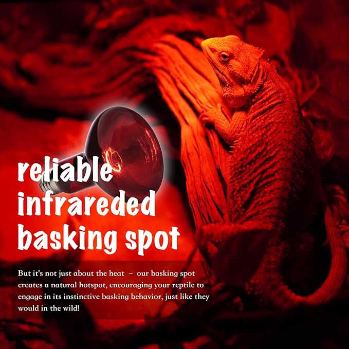 Red Basking Bulb for Reptiles, 2 Pack 100W Upgraded Infrared Basking Spot, Reptile Night Heating Bulb Light, Red Heat Lamp Bulb for Bearded Dragon Turtle Chicken