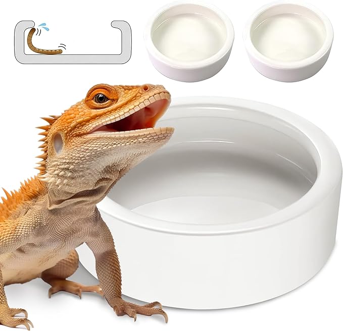 Worm Dish - Large 2 Pcs Reptile Food Water Bowl Lizard Gecko Ceramic Pet Bowls, Mealworms Bowl for Bearded Dragon Chameleon Hermit Crab Dubia Rock Reptile Cricket Dish Anti-Escape Mini Reptile Feeder