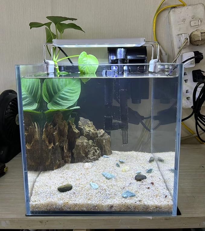 Small Nano Tall Rimless Tank, Small Glass Fish Tank, Small Betta Fish Tank, Small Aquarium, min Aquarium, Betta Tank (2 Gallon 7.8x7.8x7.8inch/20x20x20cm)