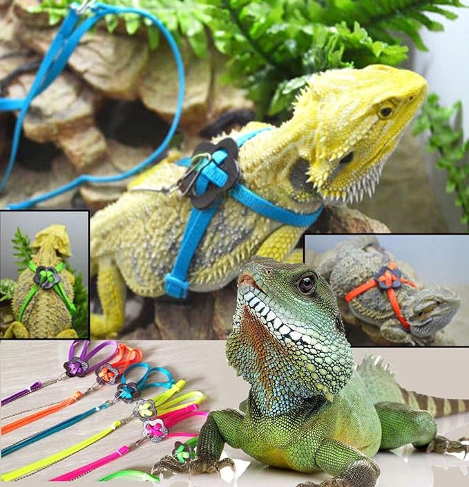 Bonaweite 2 Pack Adjustable Harness Leash, Pet Birds Nylon Anti-bite Training Hraness Outside Walk for Parrot African Grey Cockatoo Macaw Ringneck Parakeet Cockatiel Reptile Lizar