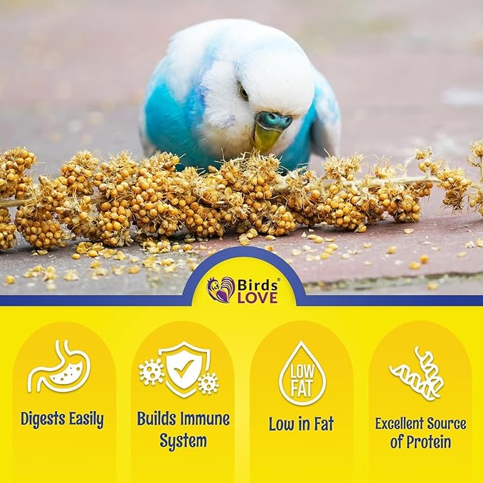 Birds LOVE Millet Tips & Tails for Birds - Parakeets, Cockatiels, Lovebirds, Finches, Budgies, Canaries, Cockatoos - Natural & Healthy Millet for Birds - Parakeet Food & Treats for All Parrots, 1lb