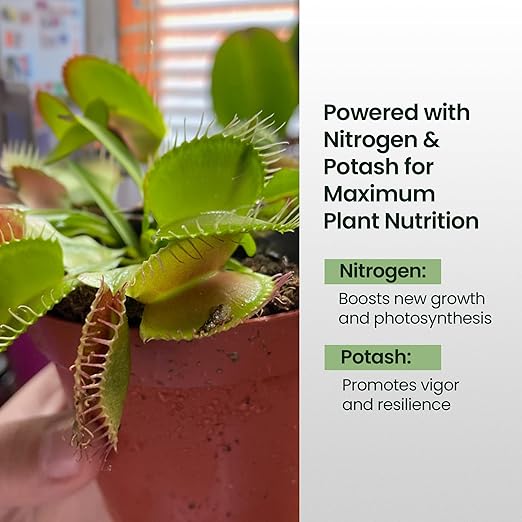 4oz Carnivorous Plant Food & Venus Fly Trap Food - Feeds up to 500 Times, Tropical Plant Fertilizer for Carnivorous Plants, Premium Liquid Carnivorous Plant Fertilizer & Feeding Supplement for Growth