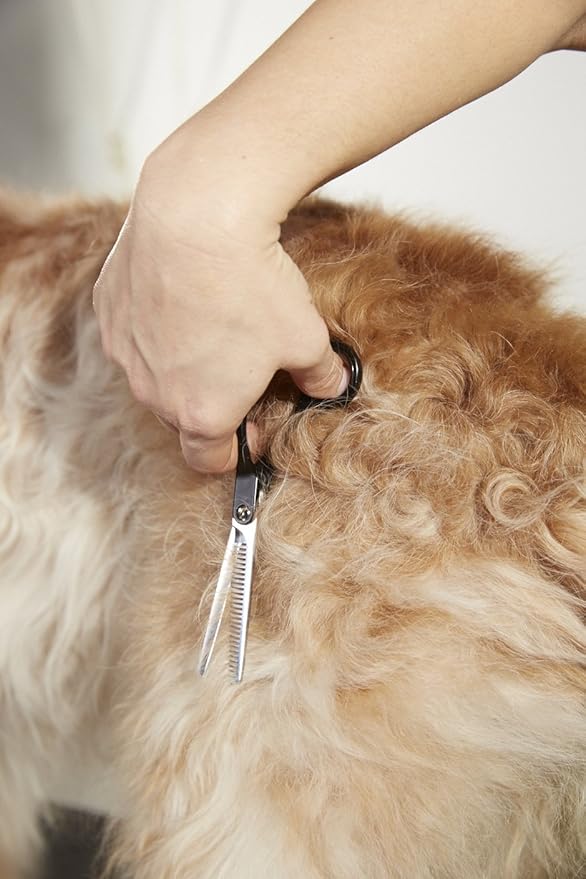 Andis Straight Shears, Right-Handed, Professional Dog and Cat Grooming