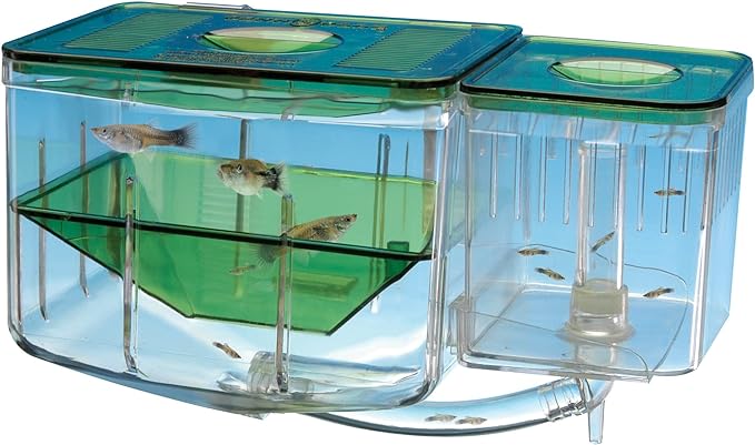 Penn-Plax AN2 Aqua Nursery and Hatchery Breeding Box for Your Aquarium - Help Protect Baby Fish from Predators