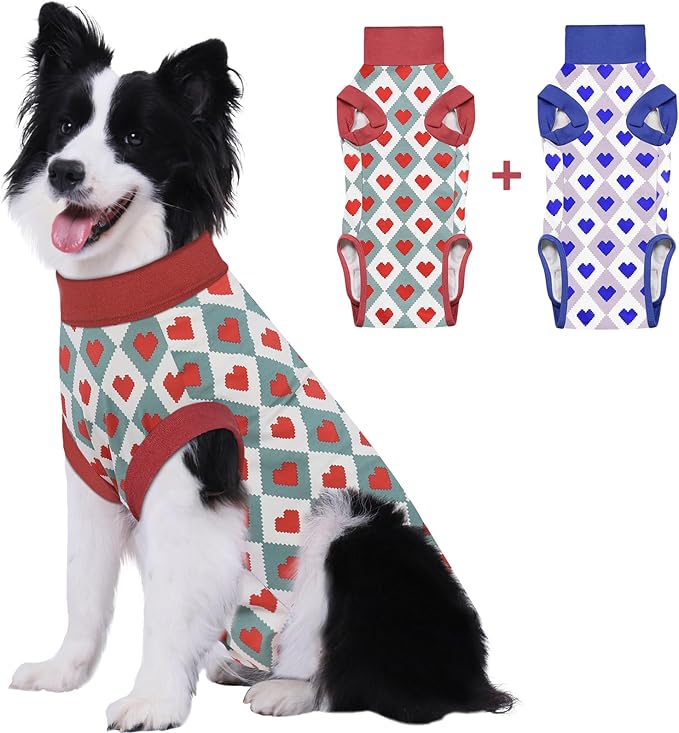 2 Packs Dog Recovery Suit Female Male, Red Heart + Blue Heart, L