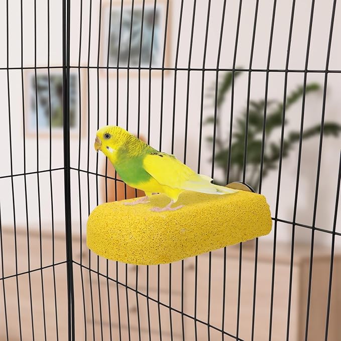 Hypeety Bird Parrot Calcium Teeth Mouth Molar Grinding Stone Hamster Grinding Stone Chew Toy Perch Jumping Stand for Parrot Budgies Chinchilla Squirrel Hamster Cage Stand Platform (Random Colour)