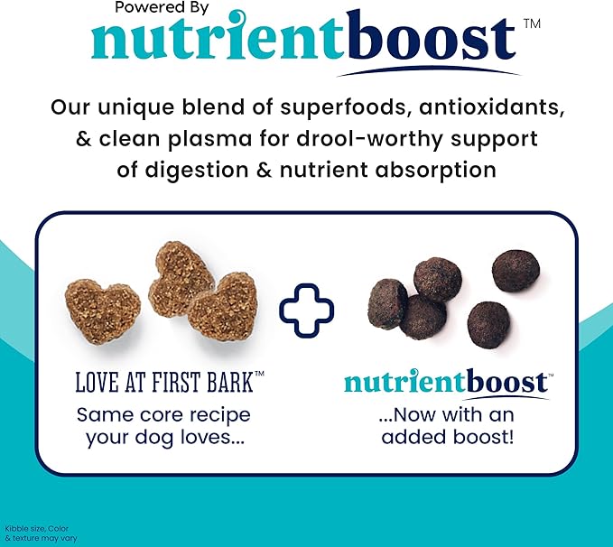 Solid Gold Dry Puppy Food w/Nutrientboost - Made with Real Chicken & Nutritious Superfoods - Love at First Bark Grain Free Puppy Dry Food for Healthy Growth, Energy and Gut Wellness - 22 LB Bag