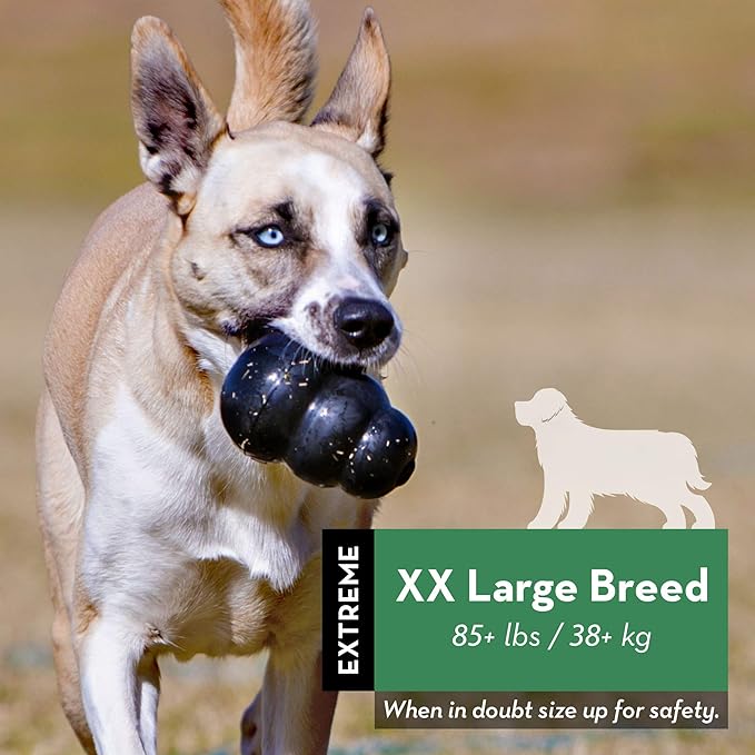 KONG Extreme Dog Toy - Fetch & Chew Toy - Treat-Filling Capabilities & Erratic Bounce for Extended Play Time Most Durable Natural Rubber Material - for Power Chewers - for XX-Large Dogs