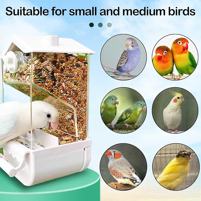 No Mess Bird Feeder for Cage 5Pcs Automatic Parrot Feeder Transparent Acrylic Seed Food Container Cage Accessories with Ball Toy for Small and Medium Parakeets Lovebirds Canaries (White)