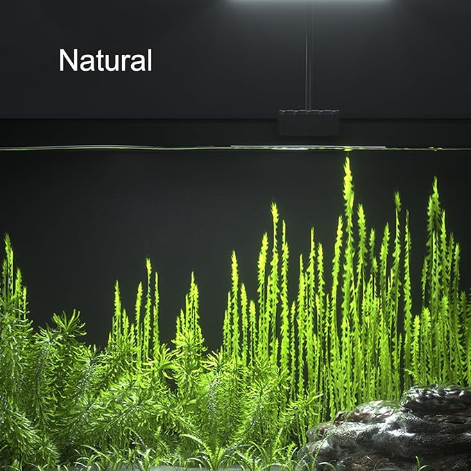 Carefree Fish Aquarium LED Light RA 92 USB 5V Fish Tank Clip Light 5730 13W