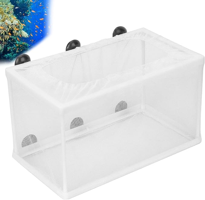 HEEPDD Aquarium Fish Breeder Box Isolation Box Breeder Hatchery Incubator with Suction Cup L