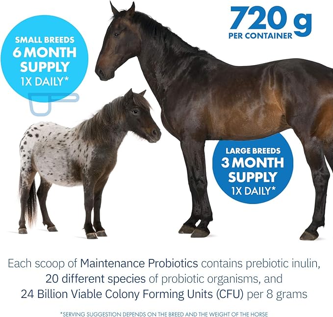 HealthyGut™ Probiotics for Horses Dietary Supplement, All-Natural Digestive System Maintenance Formula (90 Days)