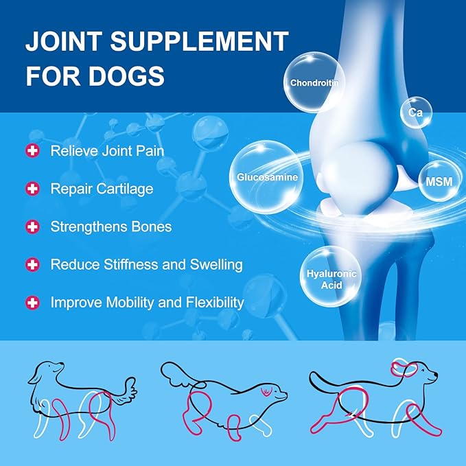 Dog Vitamins Powder, Probiotics & Digestive Enzymes for Gut Health, Glucosamine & Chondroitin & Omega 3, Complete Supplement for Homemade Dog Food, Joint & Skin & Immune Support, Dog Allergy Relief